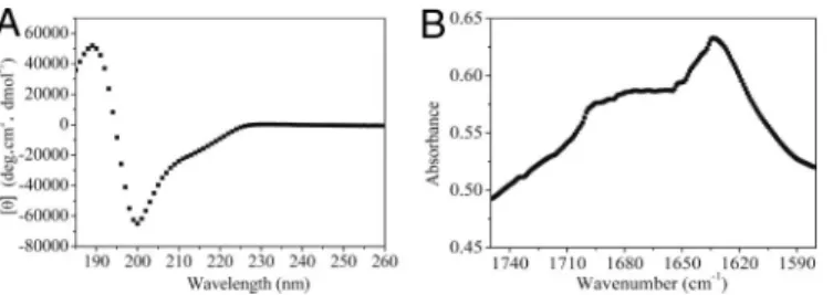 Fig. 2. Rheology of the peptide solution at 10 mg/mL. (A) Frequency sweep (1-Pa shear stress) of 1% peptide at 25 °C