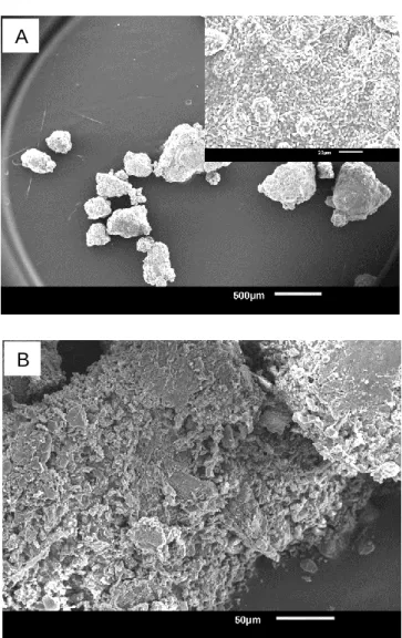 Figure  7.  SEM  images  of  Si_py  (A)  and  Si_py_al  (B),  and  an  enlarged  image  of  Si_py  in  the  inset