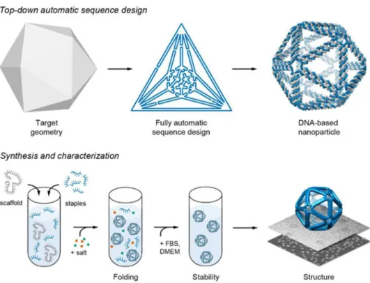 Fig. 0. DNA nanoparticle design, synthesis, and characterization