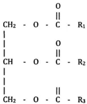 Figure 4: Triglyceride Molecule