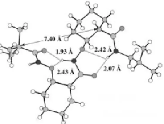 Figure 12. Structure cristalline d’un diamide de β 2,3 -aminoxy acides de cyclohexane