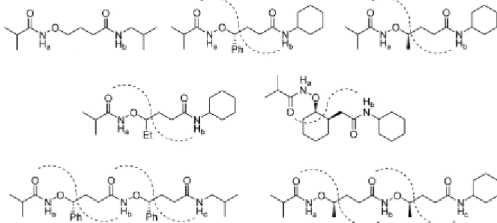 Figure 14. Représentation de γ-aminoxy peptides substitués et de leurs liaisons hydrogène intramoléculaires