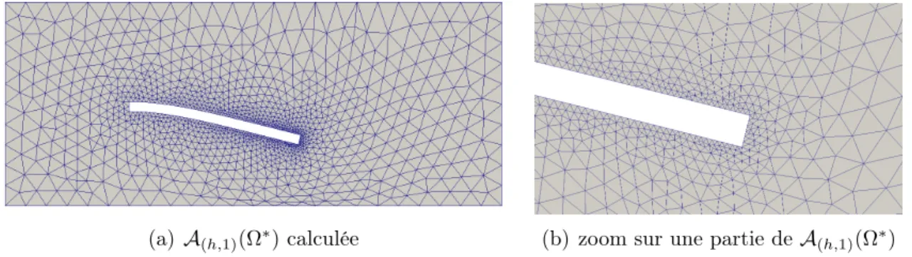 Figure 2.8 – Application de la méthode basée sur l’extension harmonique modifiée.