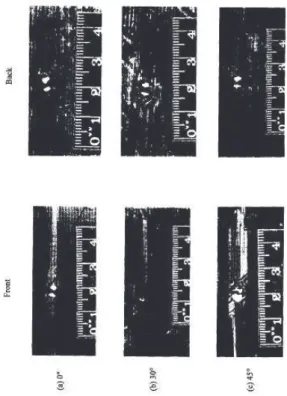 Fig. 1.5: Photographies d’une plaque composite de 24 plis apr`es impact d’un pro- pro-jectile en aluminium de 2mm[3]