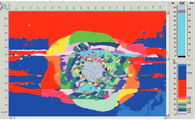 Fig. 2.18: R´esultats CND par projection des dommages sur un plan.