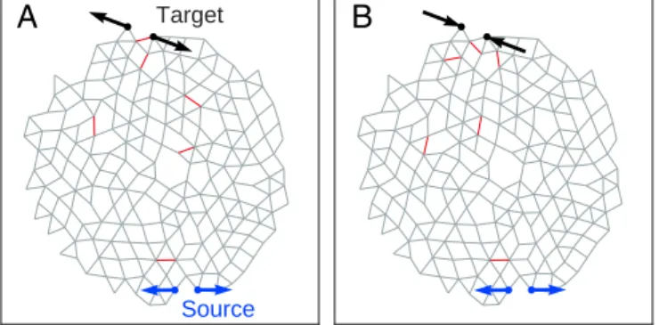 Fig. 2. (A) Strain ratio η versus the number of removed bonds N r for expanding (red) and contracting (blue) responses in both 2D (solid lines) and 3D (dashed lines)