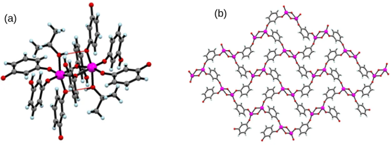 Figure 25 : (a) Représentation du nœud d'assemblage du réseau. Les deux atomes de titane  sont  liés  à  des  oxygènes  µ 2 -pontants  d’un  ligand  résorcinolato