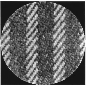 Figure  3-1:  Image  with  orientations  at  different  scales.
