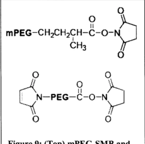 Figure  9:  (Top) mPEG-SMB  and