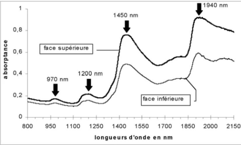 Figure 40. Spectre électromagnétique en absorptance des faces supérieures  et inférieures d’une feuille de chêne vert entre 800 et 2150 nm 