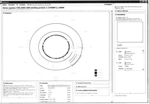 Figure  1-1:  A  view  of  an  mRNA  sequence  in  BioHaystack  showing  selected  properties, a  graphical