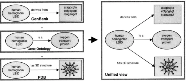 Figure  2-1  illustrates the principle  of RDF that  drives  the Semantic  Web. In  this example, information  about  human  hemoglobin  is  stored  in  three  different  locations  (GenBank, Gene  Ontology  and the Protein  Database)  on the World Wide  W