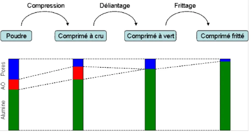 Figure  19  :  représentation  de  l'évolution  des  fractions  volumiques  au  cours  des  différentes 