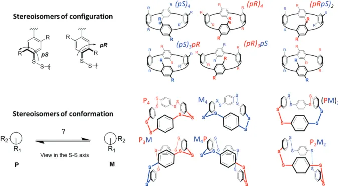Figure 2 : Isomolecular diversity in the self-assembly of I-1 into I-1 4  regarding conformation and configuration  concerns