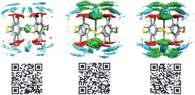 Figure 3 : Superposition of the average position of receptor I-1 4  and guests during the simulation, with  the density of presence Blue : water (64.4 %), Red : COO - (76.7 %), Green : NH 2 + /NH 3 +  (99.5 %)