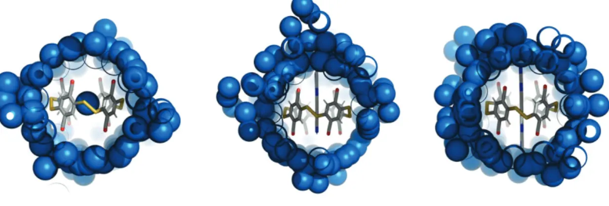 Figure 10 : Hot spots (blue) of bound water molecules thank to the SPAM analysis. Left: receptor alone, middle: 