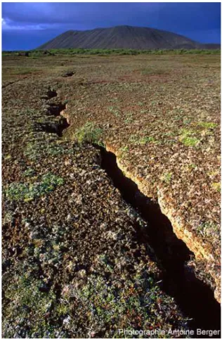 Fig. 1.2  Cette photographie prise au nord de l'Islande montre une fracture de 20 centimètres de large, ouverte dans la partie Sud du champ de fractures du Kraa