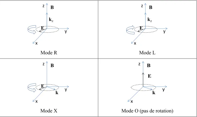 Figure 1.13 Orientations possibles du champ électrique par rapport au champ magnétique statique et  les polarisations de l’onde