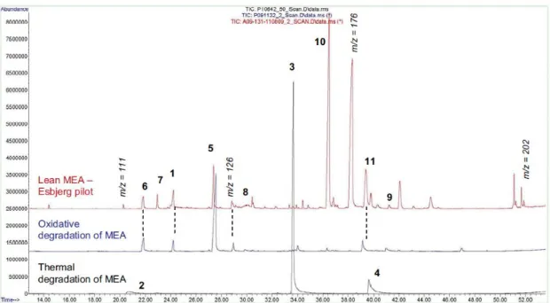Figure  7  :  Example  of  chromatogram  obtained  after  the  GC-MS  analysis  (CP-SIL-8  CB  Amines  column)  of  degraded  MEA  solutions  from  two  lab-experiments  in  comparison  to  a  lean  MEA  solution  obtained  from  the  Esbjerg  plant