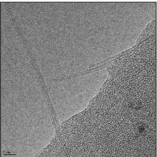 Figure 7: Image MET de nanotubes multicouches sur substrat de silicium 