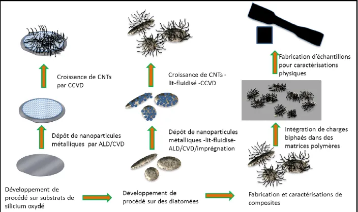Figure 16: Les différentes étapes de syntheses et de fabrications de composites renforcés par un matériau  biphasé (diatomées+CNTs) 