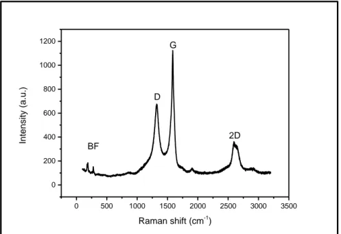 Figure 27: Spectre Raman de nanotubes de CNTs synthétisés par CVD à 600°C 