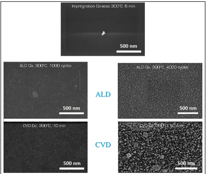 Figure 43: Morphologie des films déposés dans différentes conditions utilisés pour la croissance de  nanotubes de carbone 