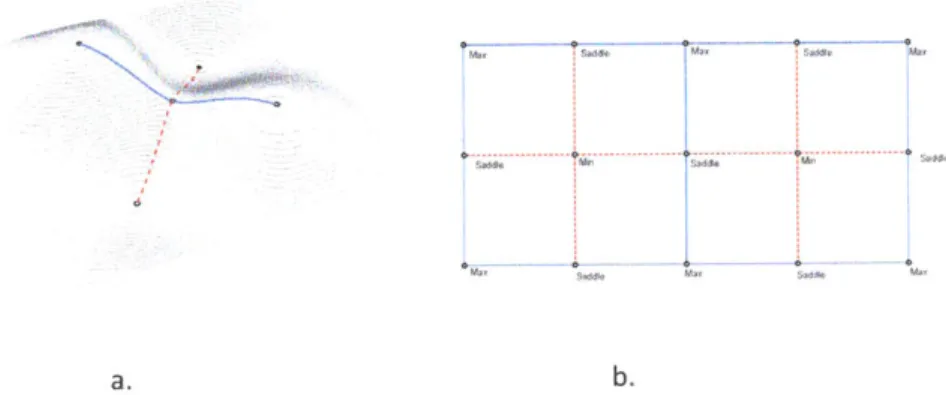 Figure 2.2.  a. Critical  Graph consisting  of maximum, minimum  and  saddle points and the lines connecting these  points toeachother