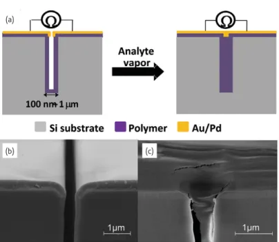 Fig. 7 Fluorescence microscopy images of PMaDD hydrogel patterns functionalized with cysteamine and linked to CdSe/ZnS nanoparticles