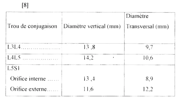 Tableau  V  :  Les  dimensions  du  canal  de  conjugaison  Selon  Ph  CAST AN  et  Al  [8] 