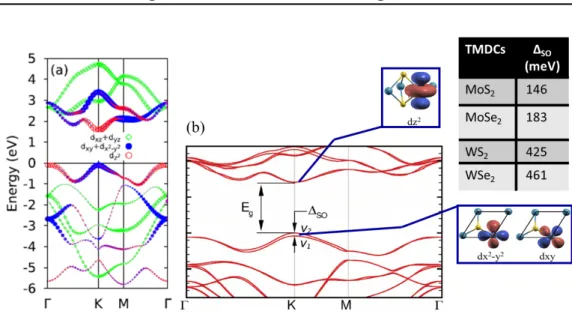 Figure 1.3: (a) Orbital projected band structures for monolayer MoS 2 . Contribu- Contribu-tions from Mo d-orbitals: blue dots for d xy and d x 2 −y 2 , red open circles for d Z 2 , and green open diamonds for d xz and d yz 