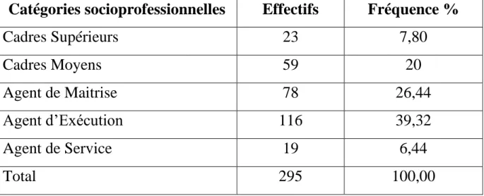 Tableau  n°2 :  tableau  des  agents  permanents  de  la  CNSS                                                        répartis par catégories socioprofessionnelles 