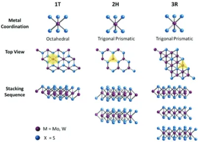 Figure 1.1: Metal coordinations and stacking sequences of TMDC unit cells for all three 1T, 2H and 3R polymorphs after [Toh 2017]