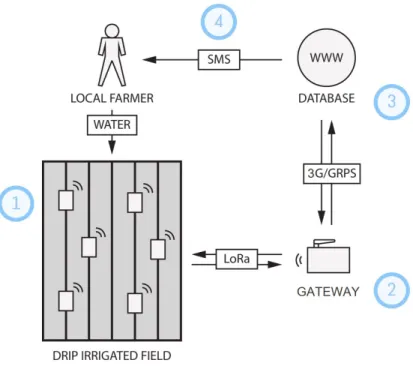 Figure 6.  SoilSense sensor system 