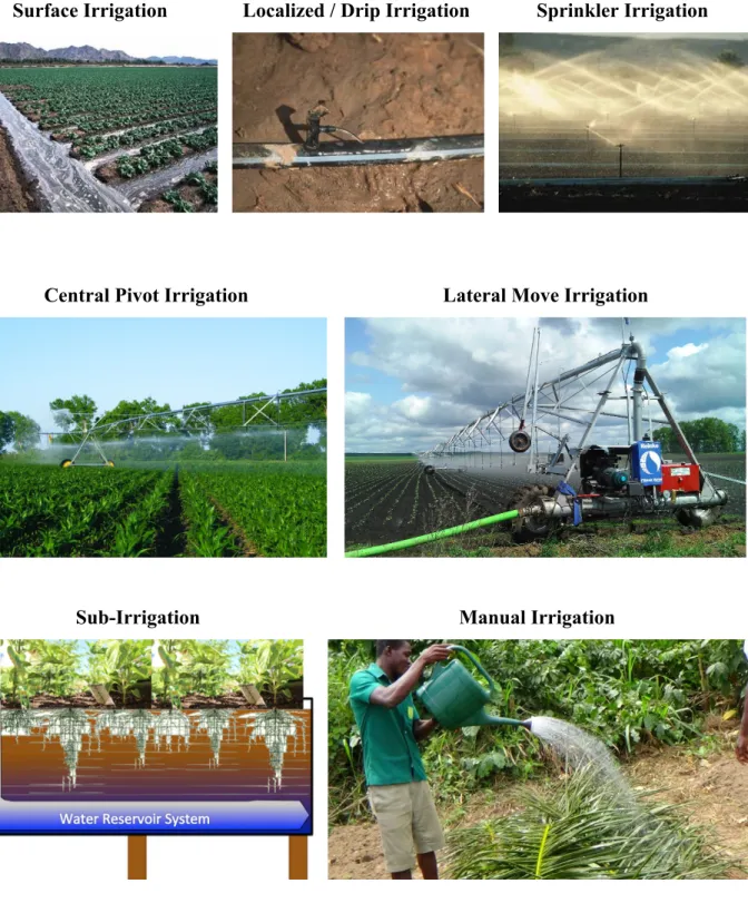 Figure 7.  Irrigation methods 
