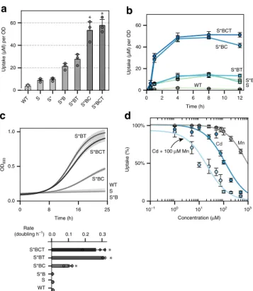 Fig. 3 Combining SMF1, CCC1, and TaPSC1 improved metal uptake capacity and tolerance. a SMF1 (S) and its modi ﬁ cations (S* and Δ BSD2 as B) along with vacuole transporter CCC1 (C) and metal resistance enzyme TaPCS1 (T) incrementally enhanced cadmium uptak