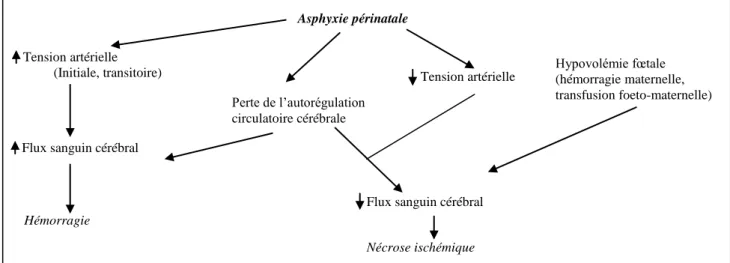 Tableau  I :  Mécanismes  possibles  de  l’asphyxie  périnatale  conduisant  à  l’ischémie 
