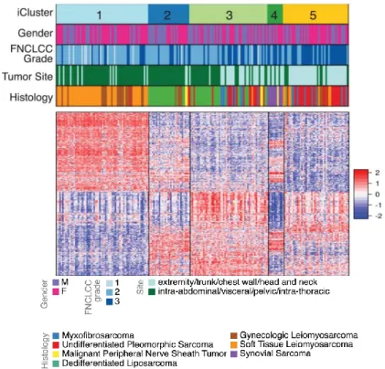 Figure 11 : Analyse non supervisée de l’expression des ARN messagers de 206 sarcomes à  génomique complexe (TCGA, 2017)