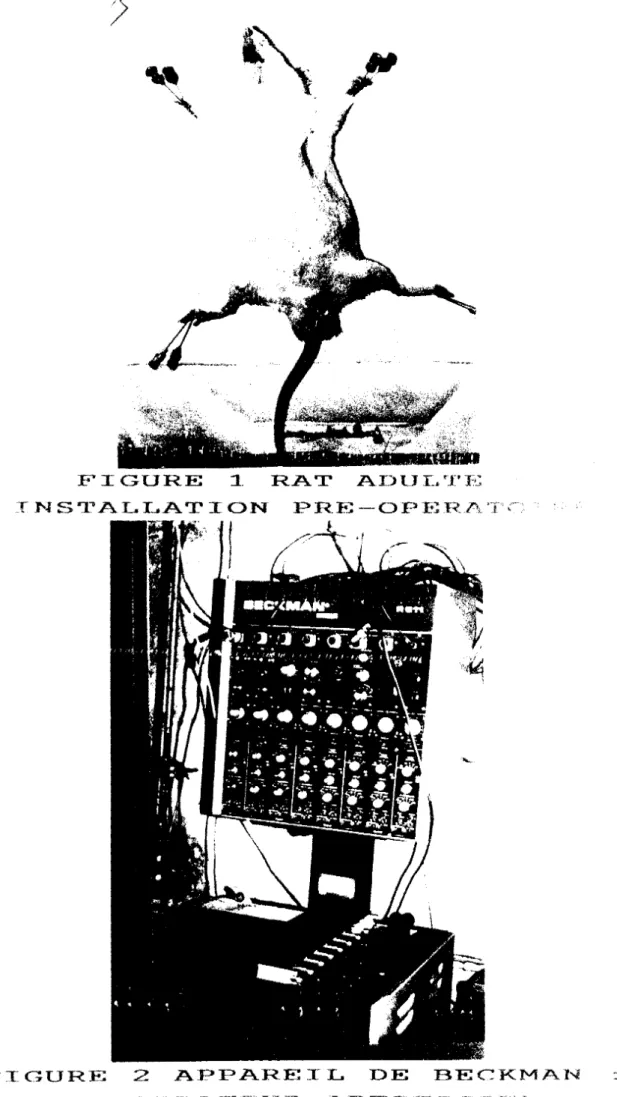 FIGURE  2  APPAREIL  DE  BECKMAN 