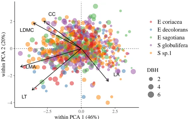Figure 5: Within-species Principal Component Analysis (wPCA) of leaf traits across individ- individ-uals in five Neotropical tree species