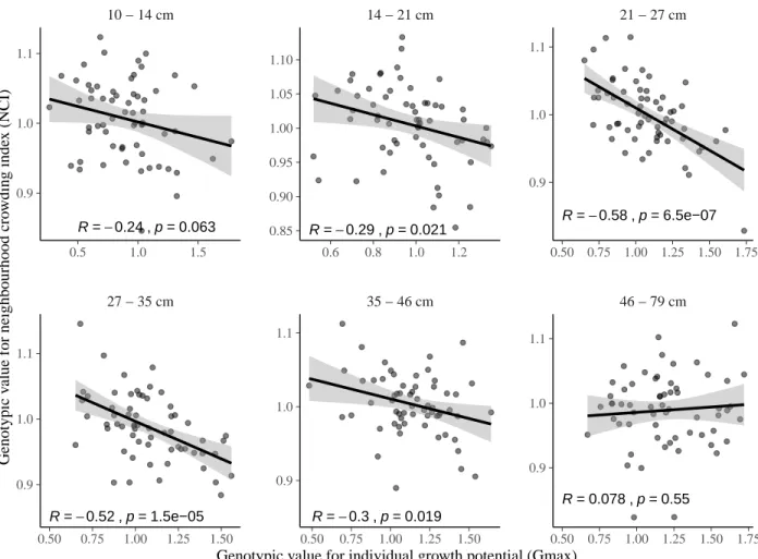 Figure 14: Correlations between genotypic values for individual growth potential (Gmax) and neighbourhood crowding index (NCI), an indirect measurement of access to light, for different classes of tree diameters