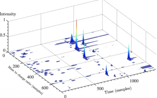 Figure 1.6: Example of observations provided by LC-MS. Figure from Rapin [2014]