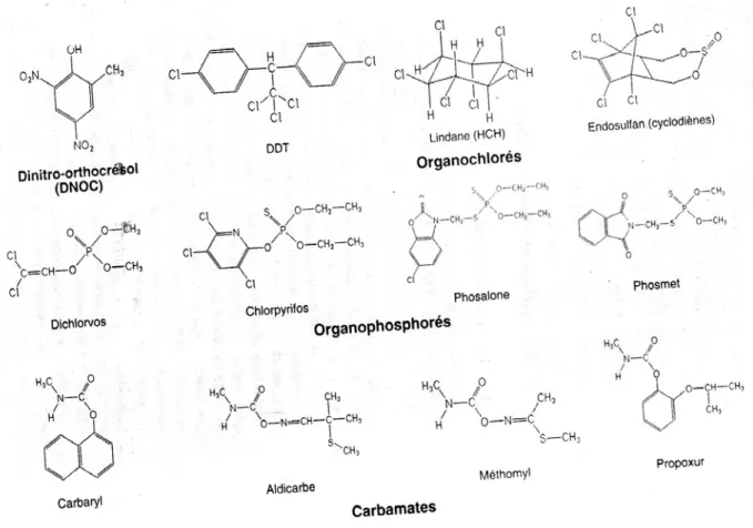 Figure 10 a : Insecticides organiques de synthèse de la première et deuxième génération  (Wood, 2004) 