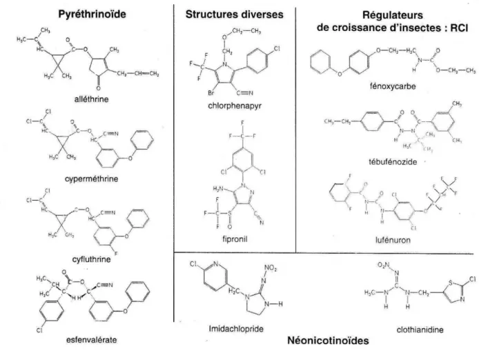 Figure 10 b : Insecticides organiques de synthèse de la troisième génération (Wood, 2004) 