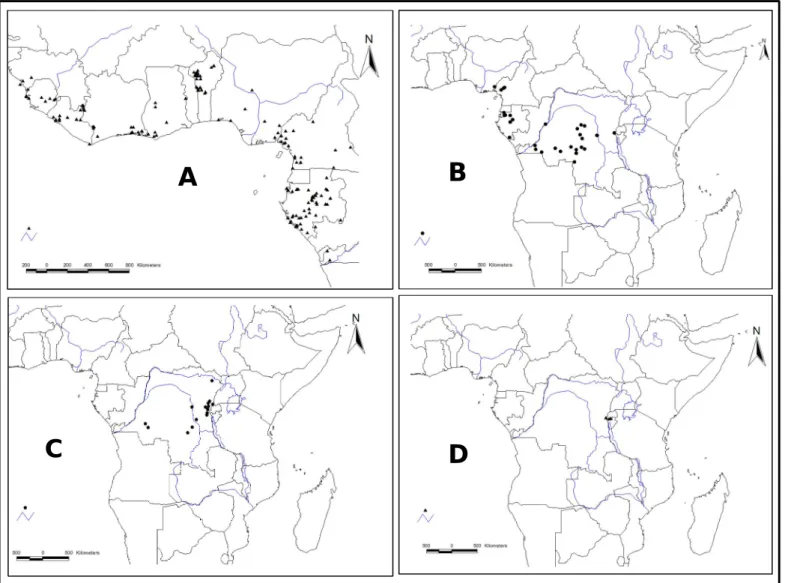 Figure 2 : Distribution des espèces du genre Pentadesma en Afrique tropicale (en bleu, les principaux cours d’eau) 