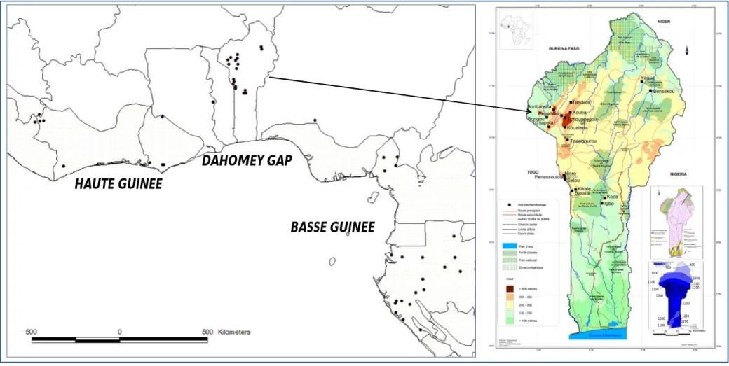 Figure 4 : Carte de répartition des populations étudiées dans le domaine guinéo-congolais (à gauche), avec en détail à droite les caractéristiques  physico-climatiques et géomorphologiques du Bénin