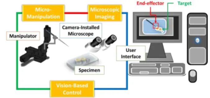 Figure 1.   Overview of DFTS in robotic image-guided micromanipulation  The  scope  of  this  paper  is  organized  in  sections  starting  from  a  discussion  of  existing  related  work  and  some  of  the  issues that have yet to be addressed