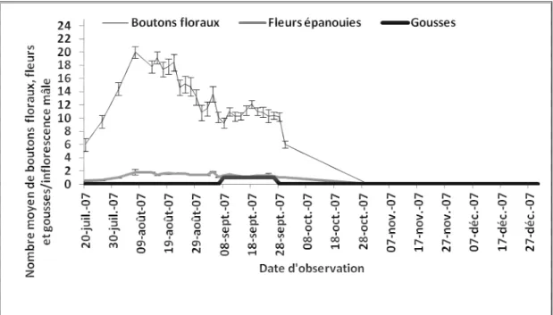 Figure  9:  Evolution  du  nombre  moyen  de  boutons  floraux,  fleurs  épanouies  et  gousses  par  inflorescence  femelle  chez  P