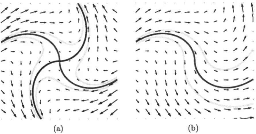 Figure  1-3:  Lagrangian  flow  field  around  points  where  (a)  detVu*  &lt;  0  and  (b) detVu*  &gt;  4/T 2 