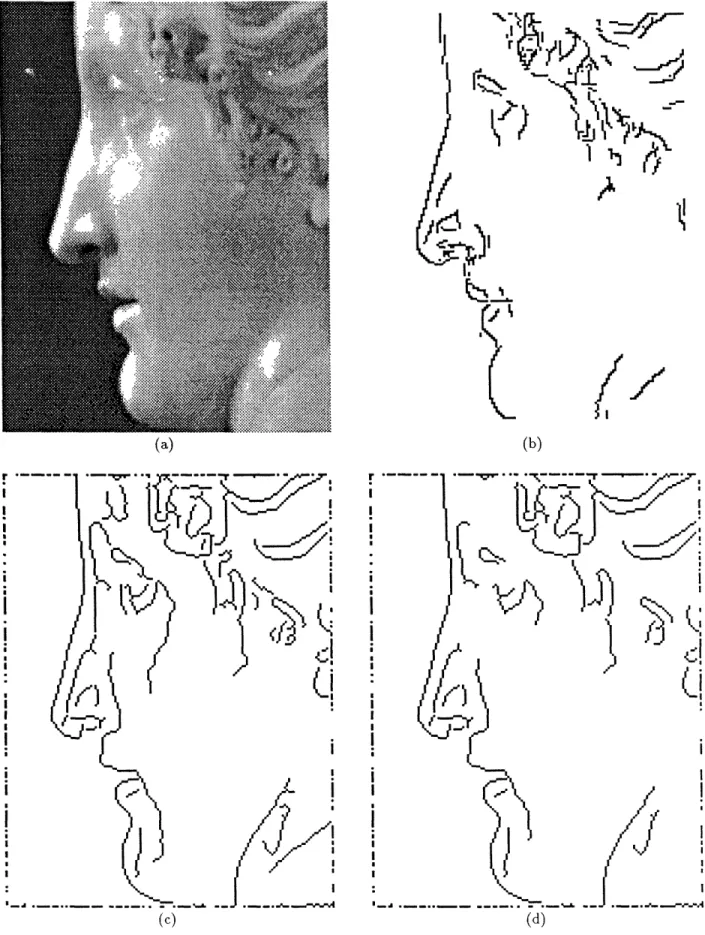 Figure  7:  Comparison  of  the  Canny  detector  and  our  2D  detector.  (a)  Original  (Paolina  Borghese,  Canova circa  1800)
